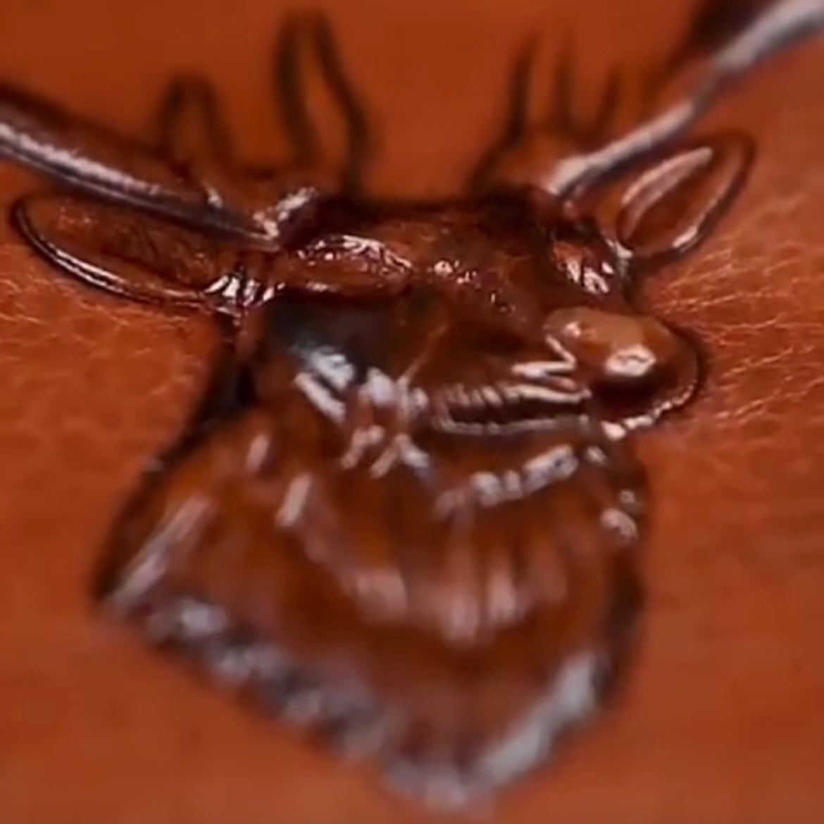 Premium Stag's Men Head Wallet